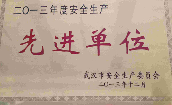 天鸣集团喜获武汉市2013年“安全生产”先进单位